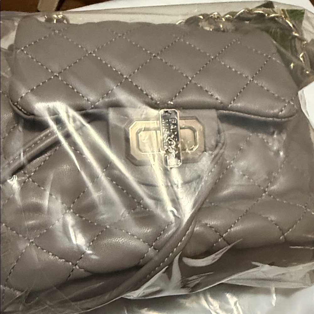 Badgley Mischka Gray Quilted Mini Bag with Gold Hardware